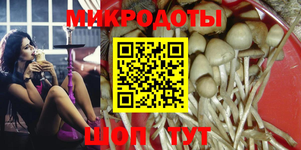 Галлюциногенные грибы мицелий Владивосток