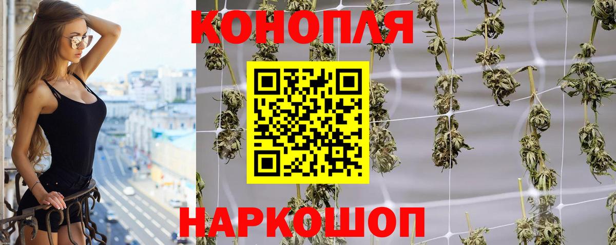 Владивосток  Бошки Шишки план  Вход с VPN  Каннабис OG Kush  Бошки марихуана семена 